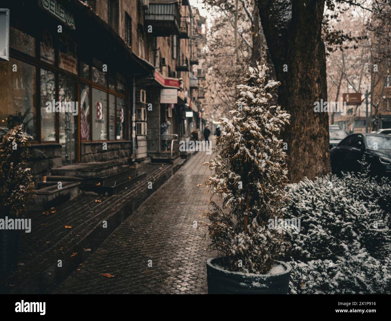 Untitled Stock Photo