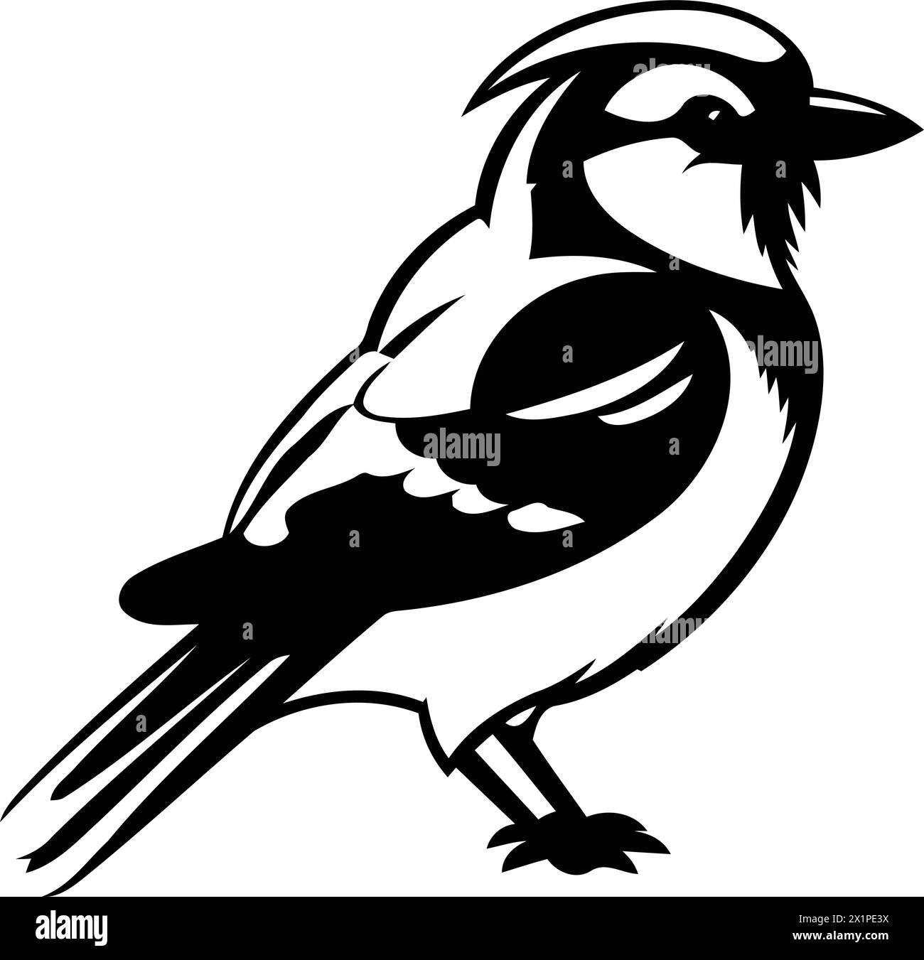 Blue jay bird isolated on white background. Vector illustration in flat style. Stock Vector