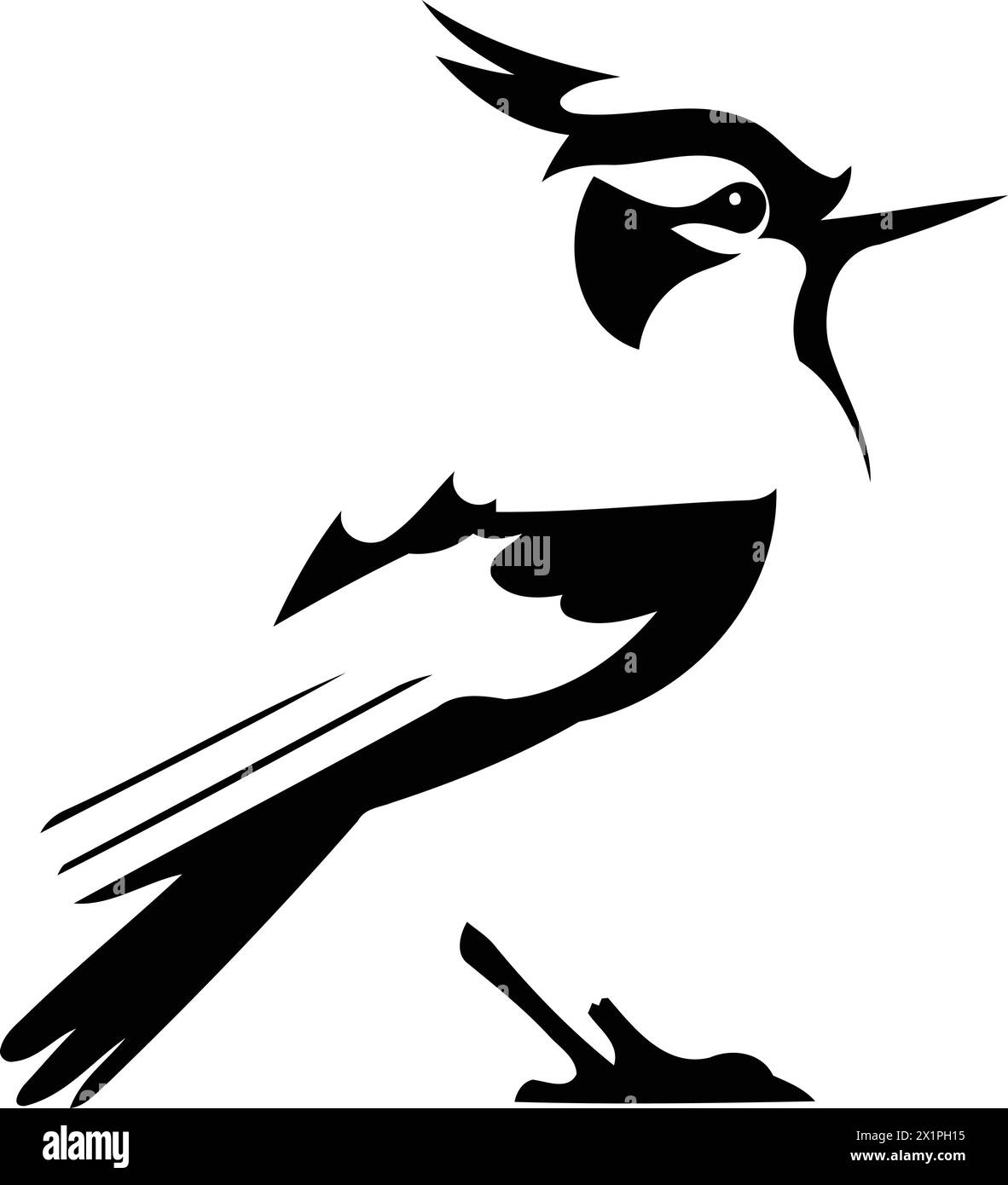 Blue jay bird vector Illustration isolated on a white background. Stock Vector