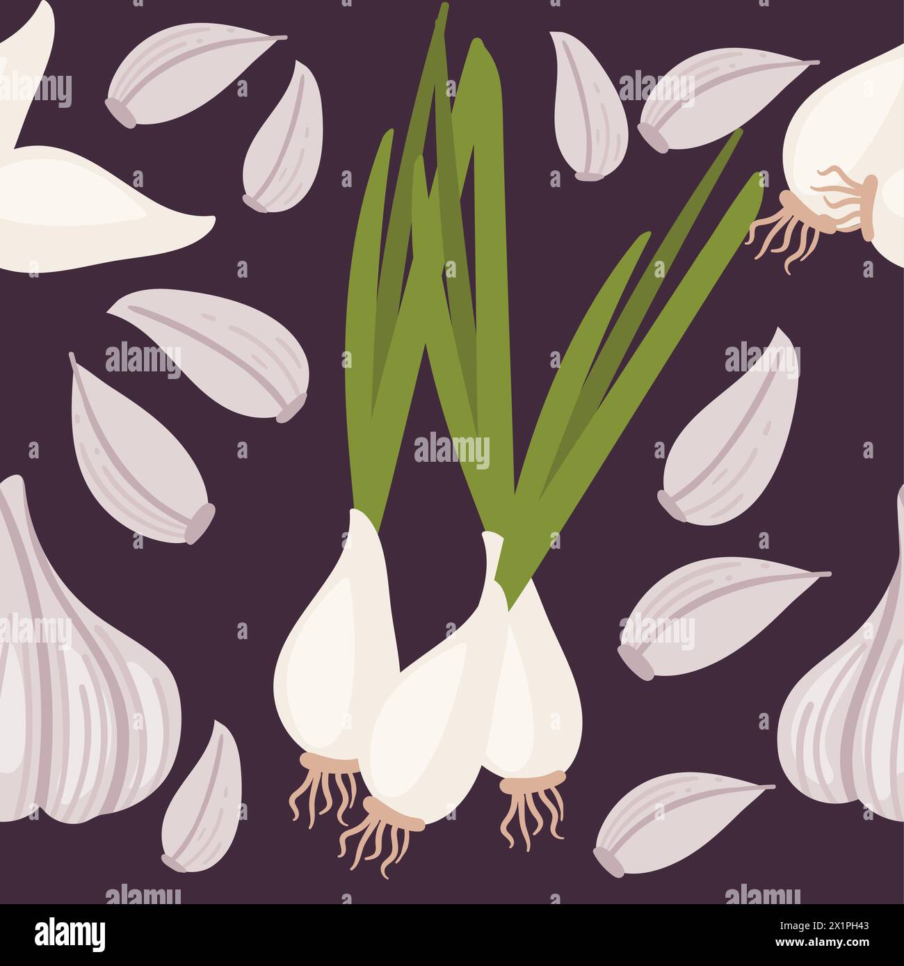 Plant spring garlic Stock Vector Images - Alamy