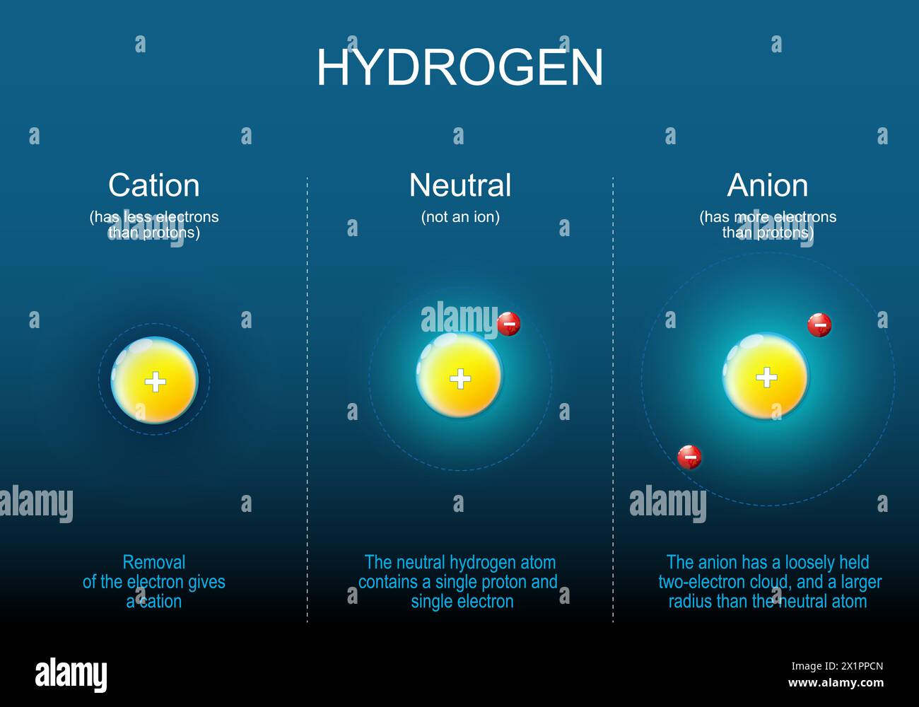 Anion, Cation and Neutral atoms of Hydrogen. After removal of the electron gives a cation. The anion has a loosely held electrons cloud, and a larger Stock Vector