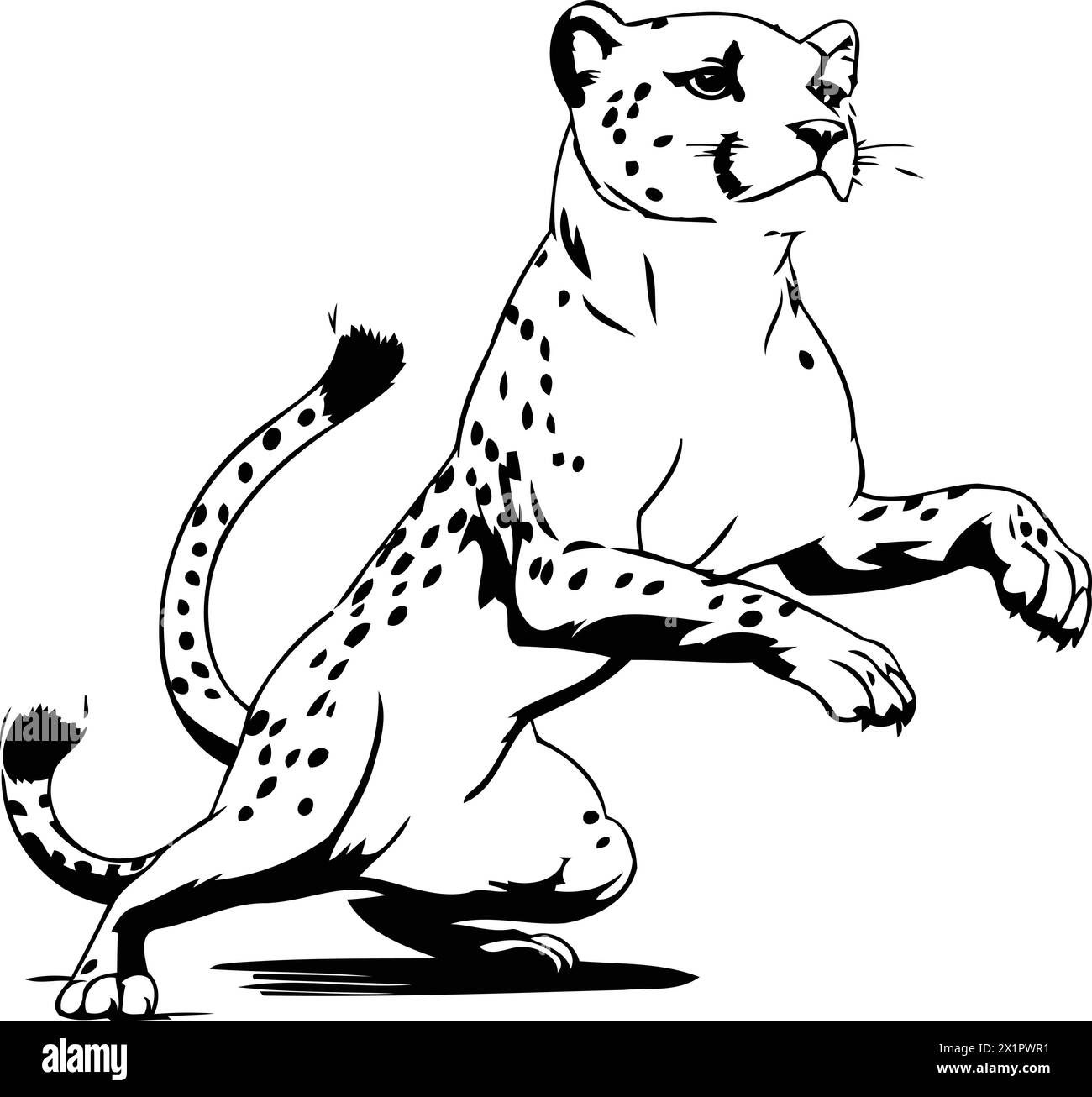 Cheetah running isolated on white background. Vector cartoon