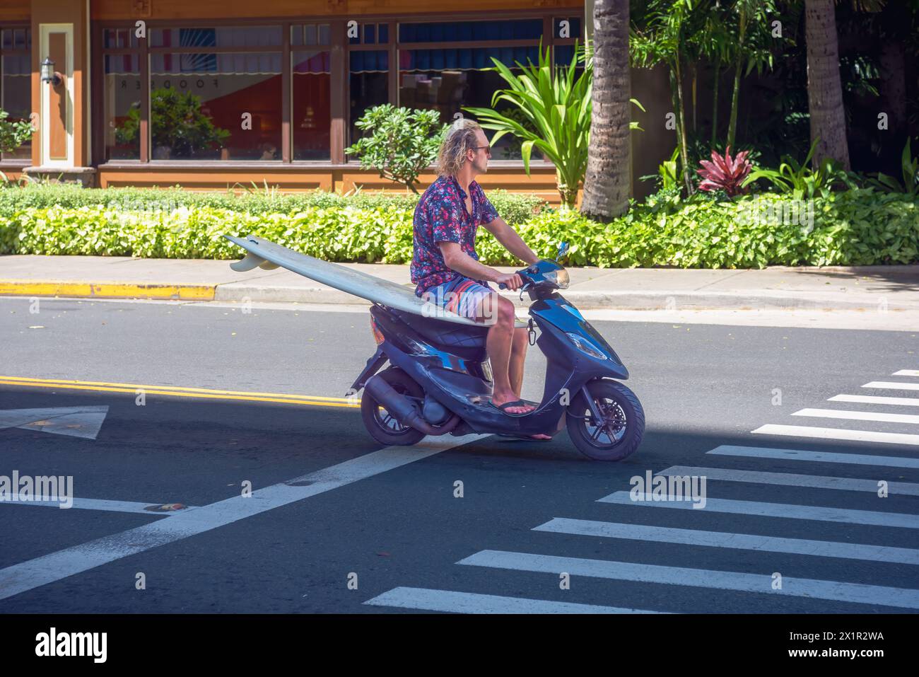 'Waikiki's Unique Commute: On October 7, 2016, a surfer effortlessly transports their surfboard by skillfully sitting on it while riding a scooter' Stock Photo