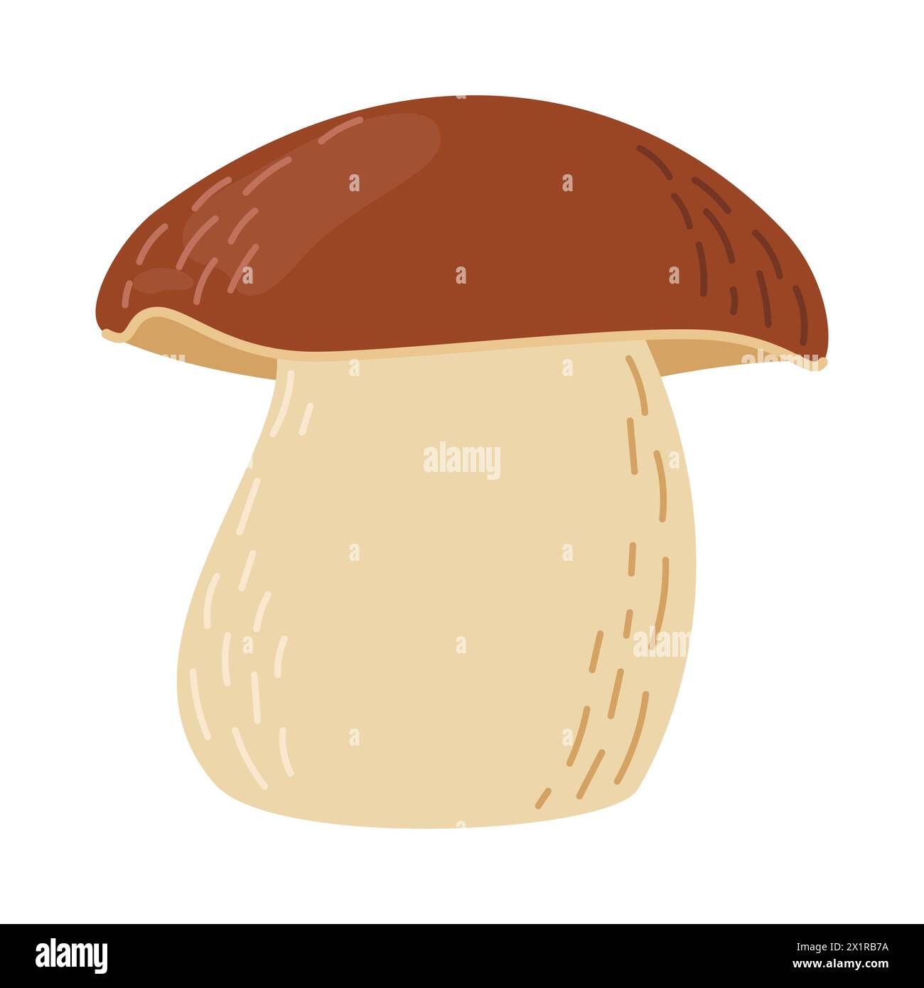 Porcini forest mushroom. Hand drawn boletus edulis fungus. Porcini ...