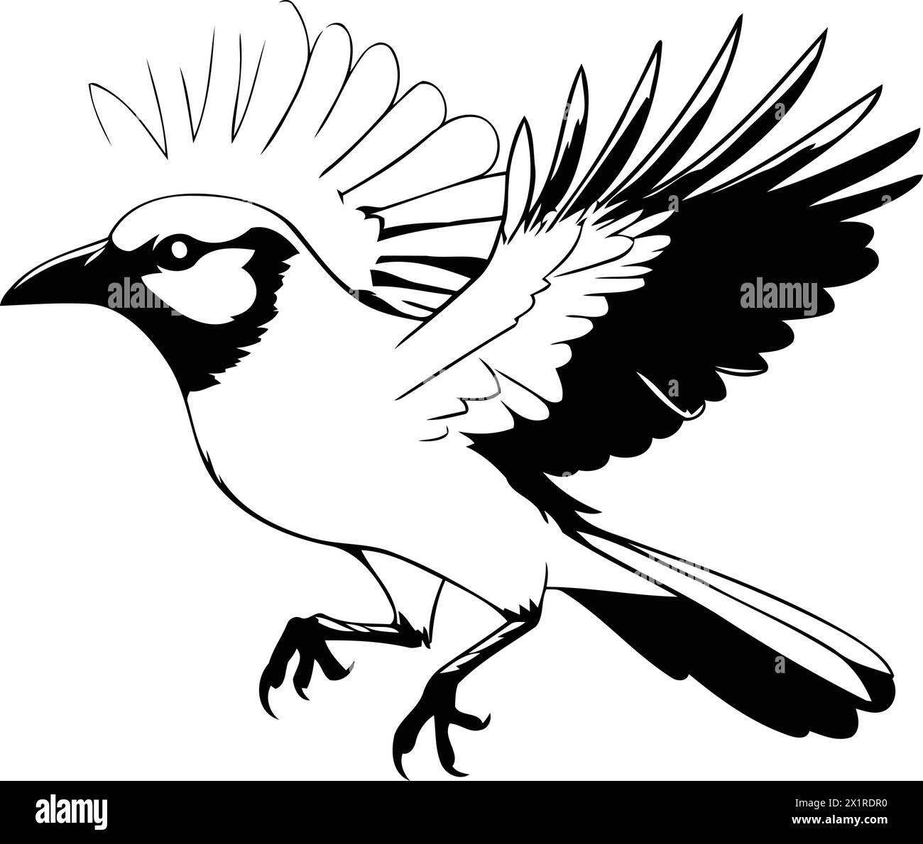 Cute blue jay bird with open wings. Vector illustration. Stock Vector