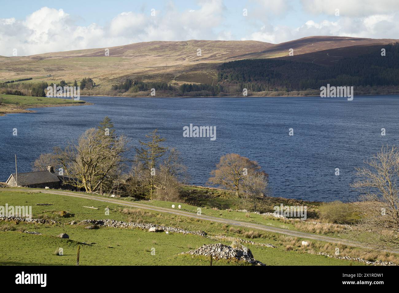 Llyn Tegid Bala North Wales Stock Photo - Alamy