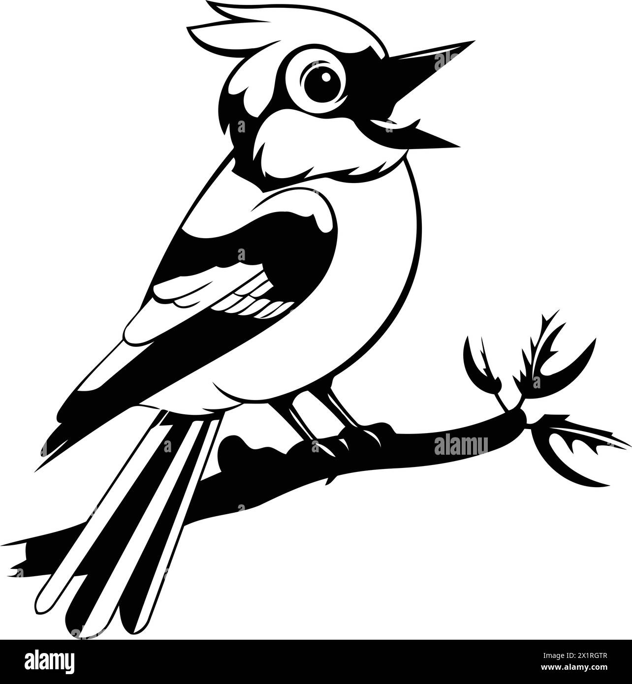Cartoon blue jay bird sitting on a branch. Vector illustration. Stock Vector