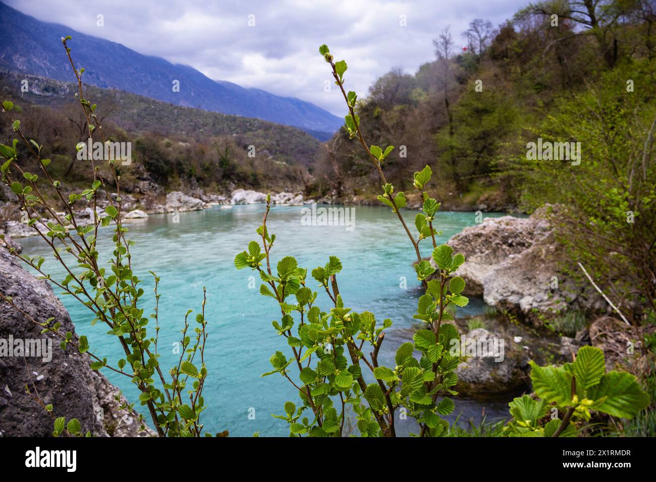 Riverside view with green leaves over mountains Stock Photo