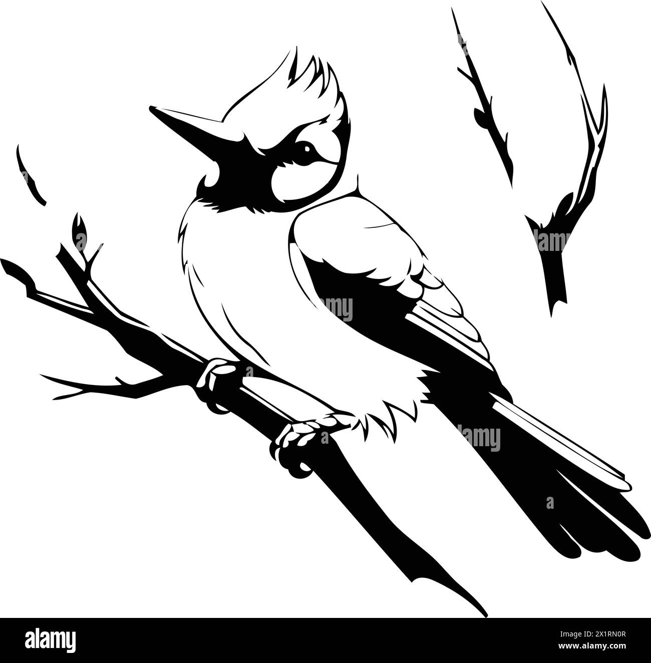 Blue jay bird sitting on a branch with leaves. Vector illustration