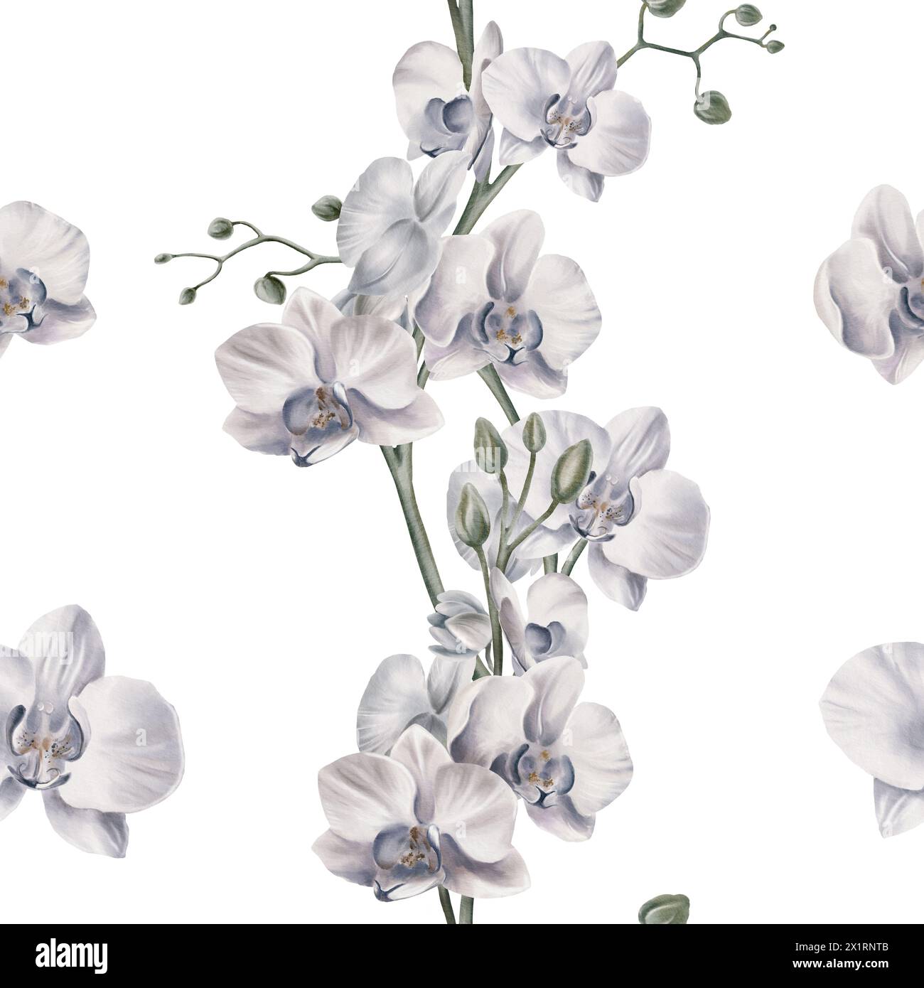 White orchid flowers in a seamless pattern with orchid branches and ...