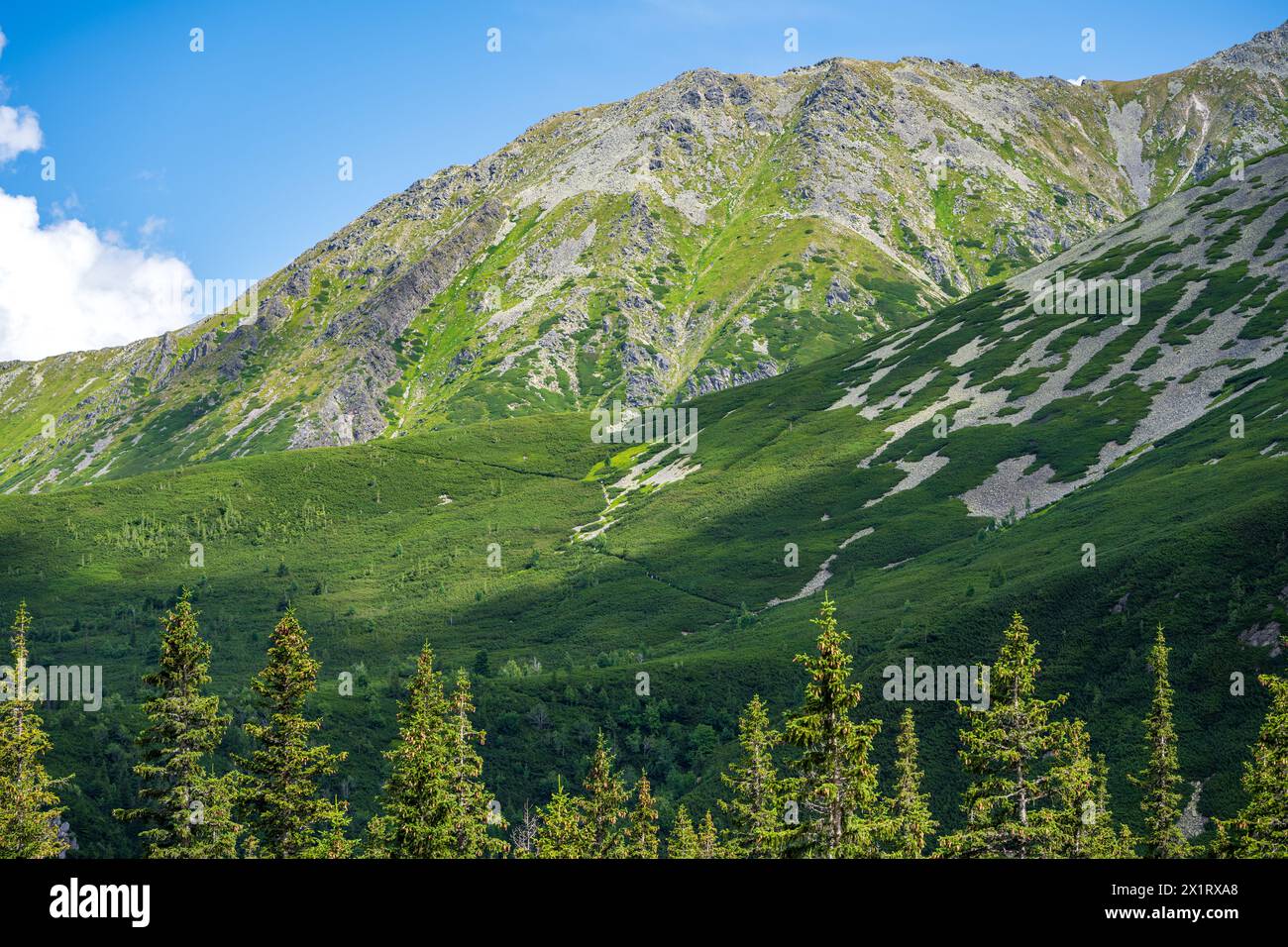 Summer mountain panorama from Hala Gasienicowa. View to Zolta Turnia mountain, blue cloudless sky Stock Photo