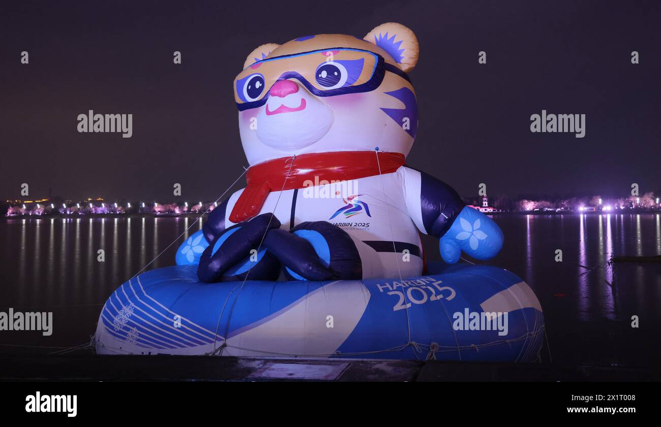 The tiger mascots Nini and Binbin for the 9th Asian Winter Games are ...