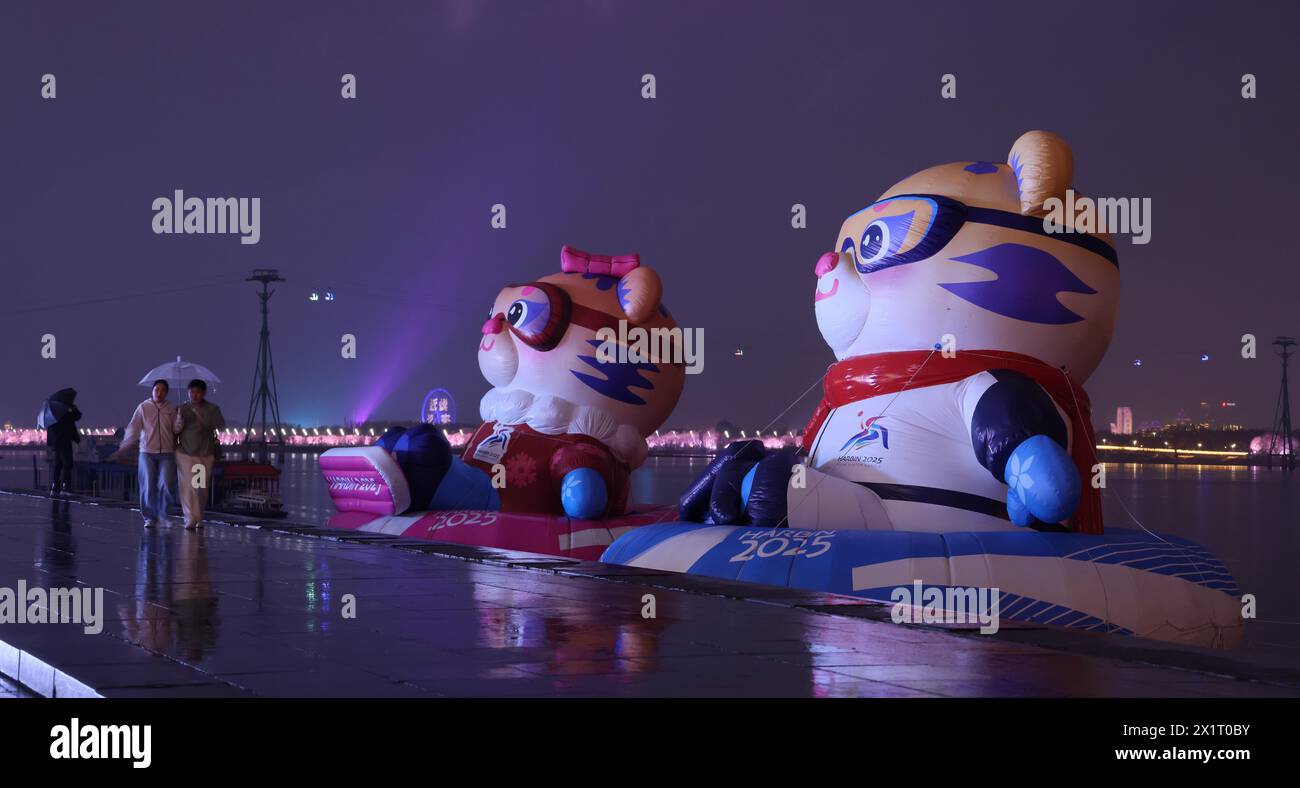 The tiger mascots Nini and Binbin for the 9th Asian Winter Games are ...