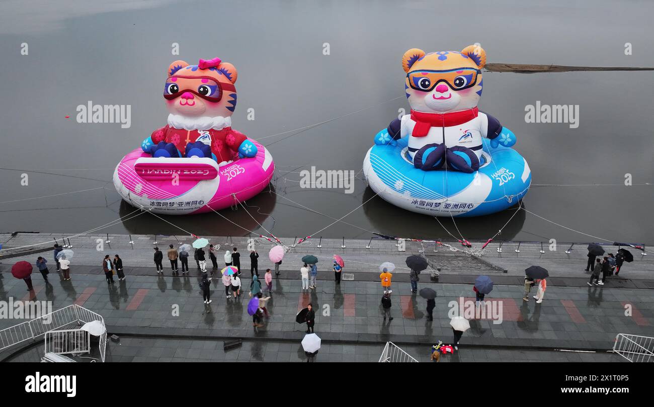 The tiger mascots Nini and Binbin for the 9th Asian Winter Games are ...