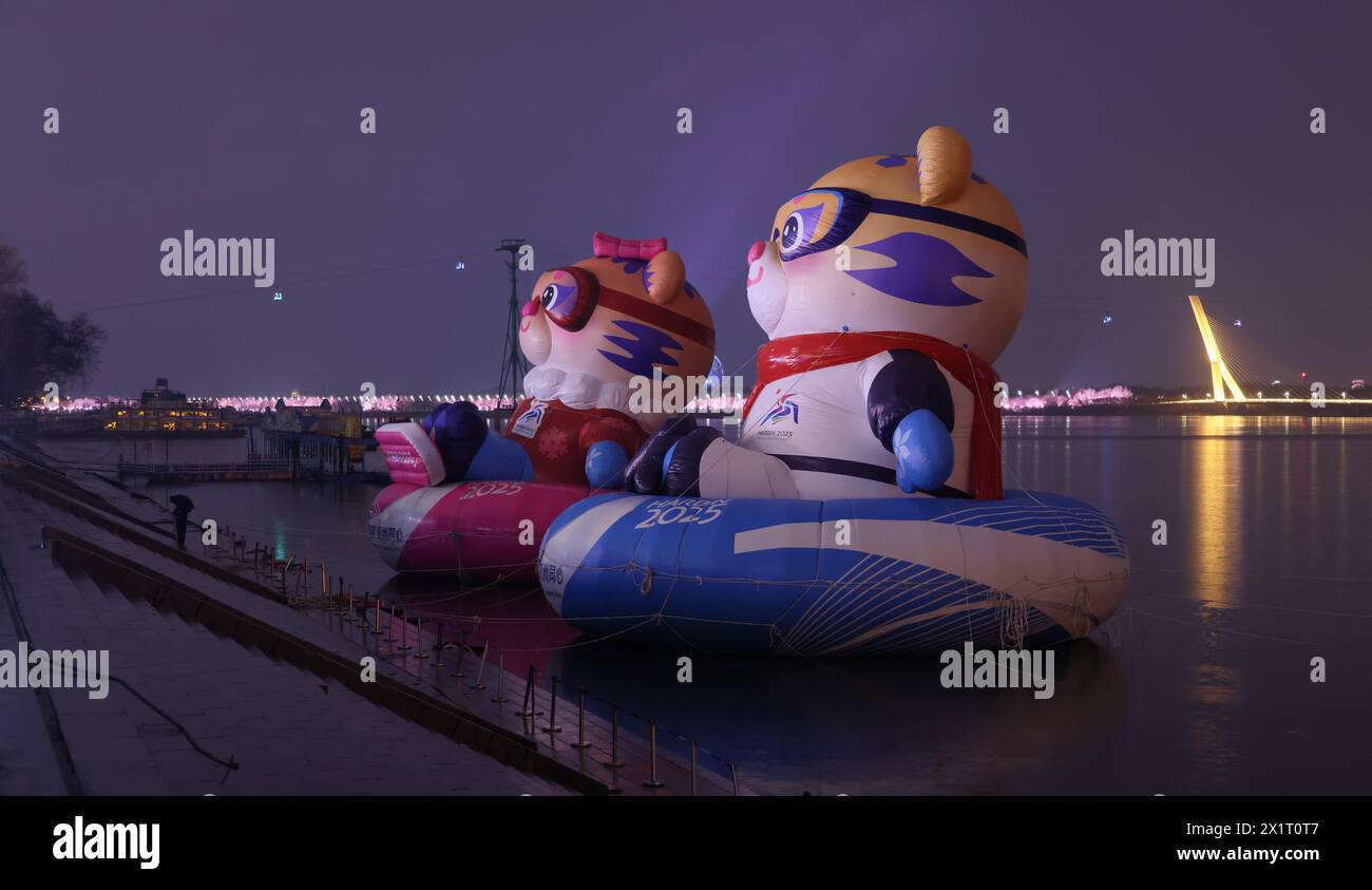 The tiger mascots Nini and Binbin for the 9th Asian Winter Games are ...
