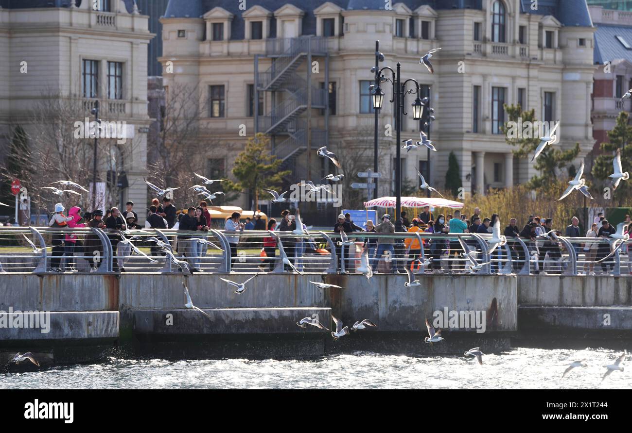 Dalian, China's Liaoning Province. 16th Apr, 2024. Tourists go sightseeing at a port in Dalian, northeast China's Liaoning Province, April 16, 2024. Credit: Li Gang/Xinhua/Alamy Live News Stock Photo
