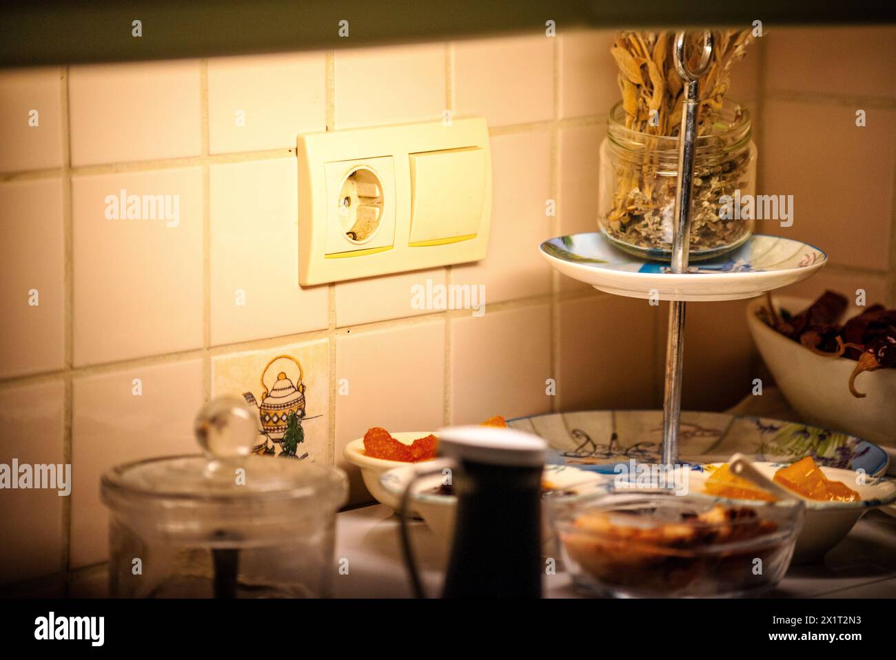 Explore a plethora of culinary delights, ingredients, and kitchen