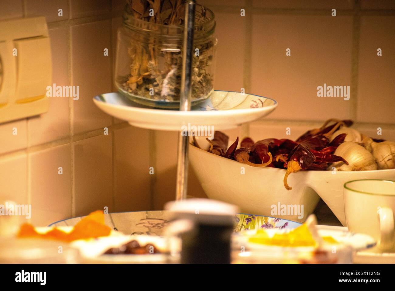 Explore a plethora of culinary delights, ingredients, and kitchen