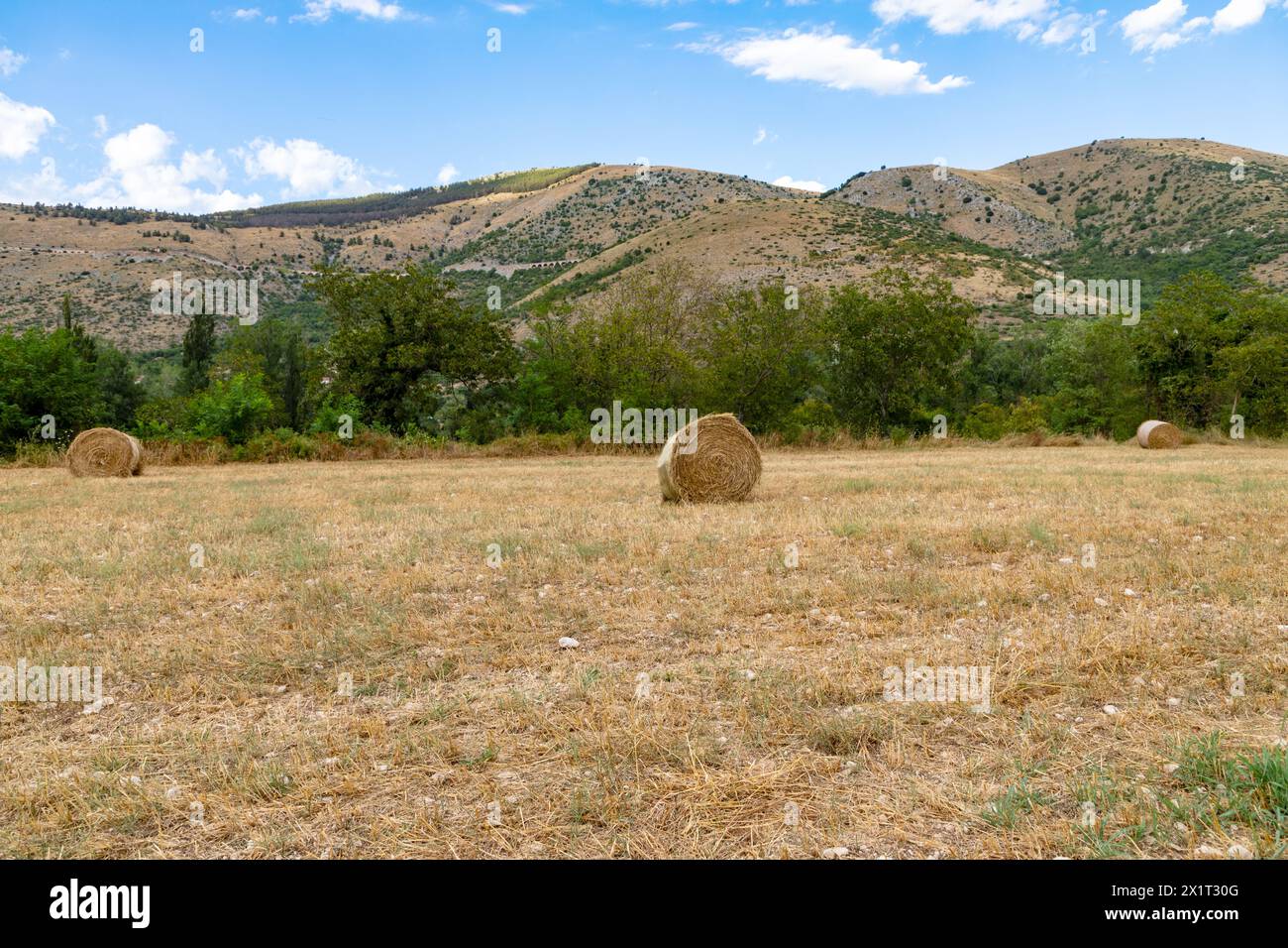 Campo con cielo hi-res stock photography and images - Alamy