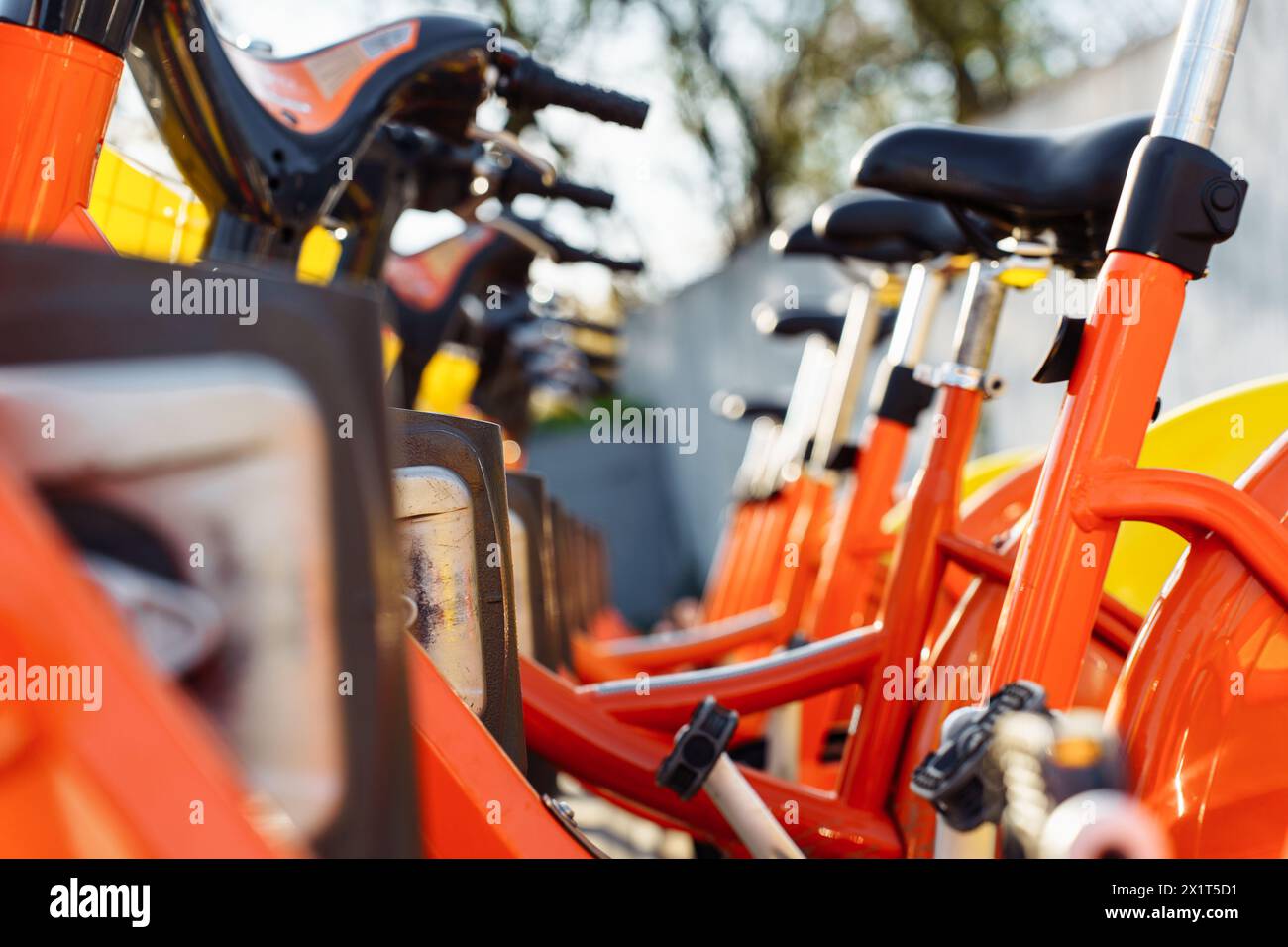A public bicycle rental point for leisure activity and moving around