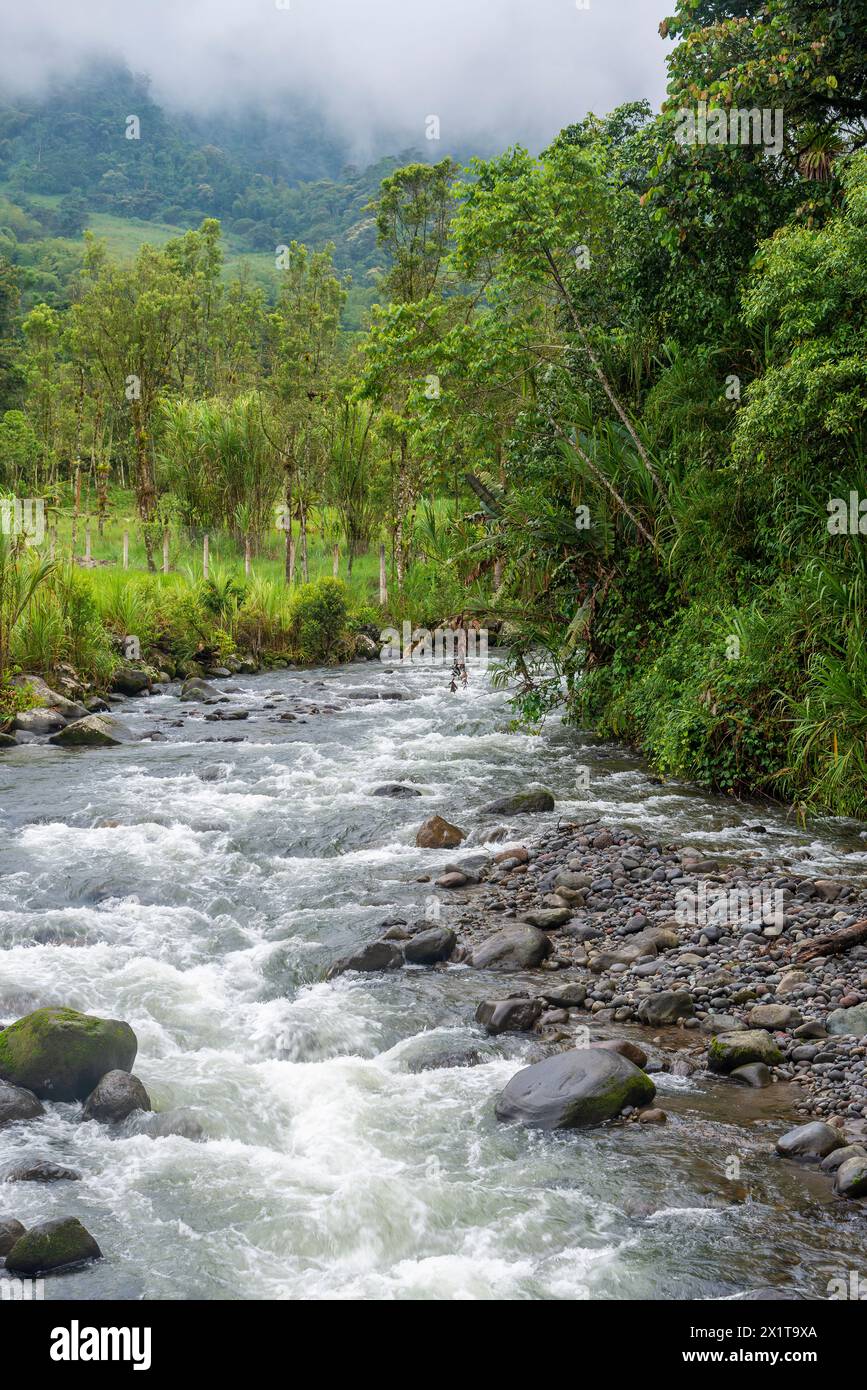 Mindo river, Mindo cloud forest, Ecuador. Stock Photo