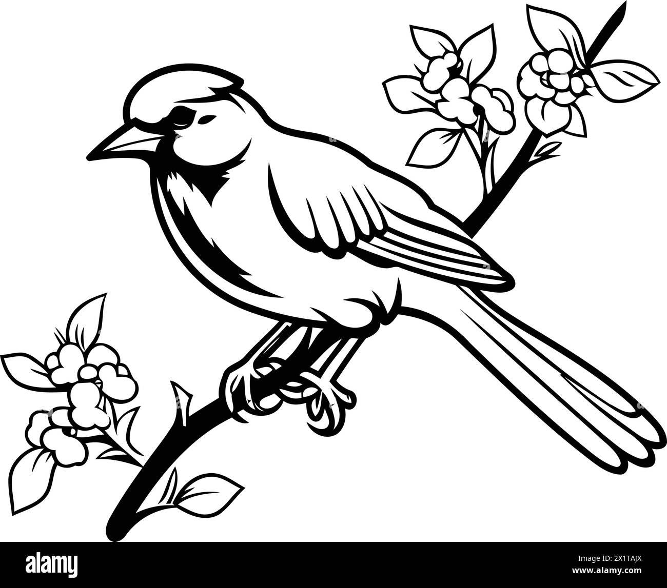Cute blue jay bird on a branch with flowers. Vector illustration. Stock Vector