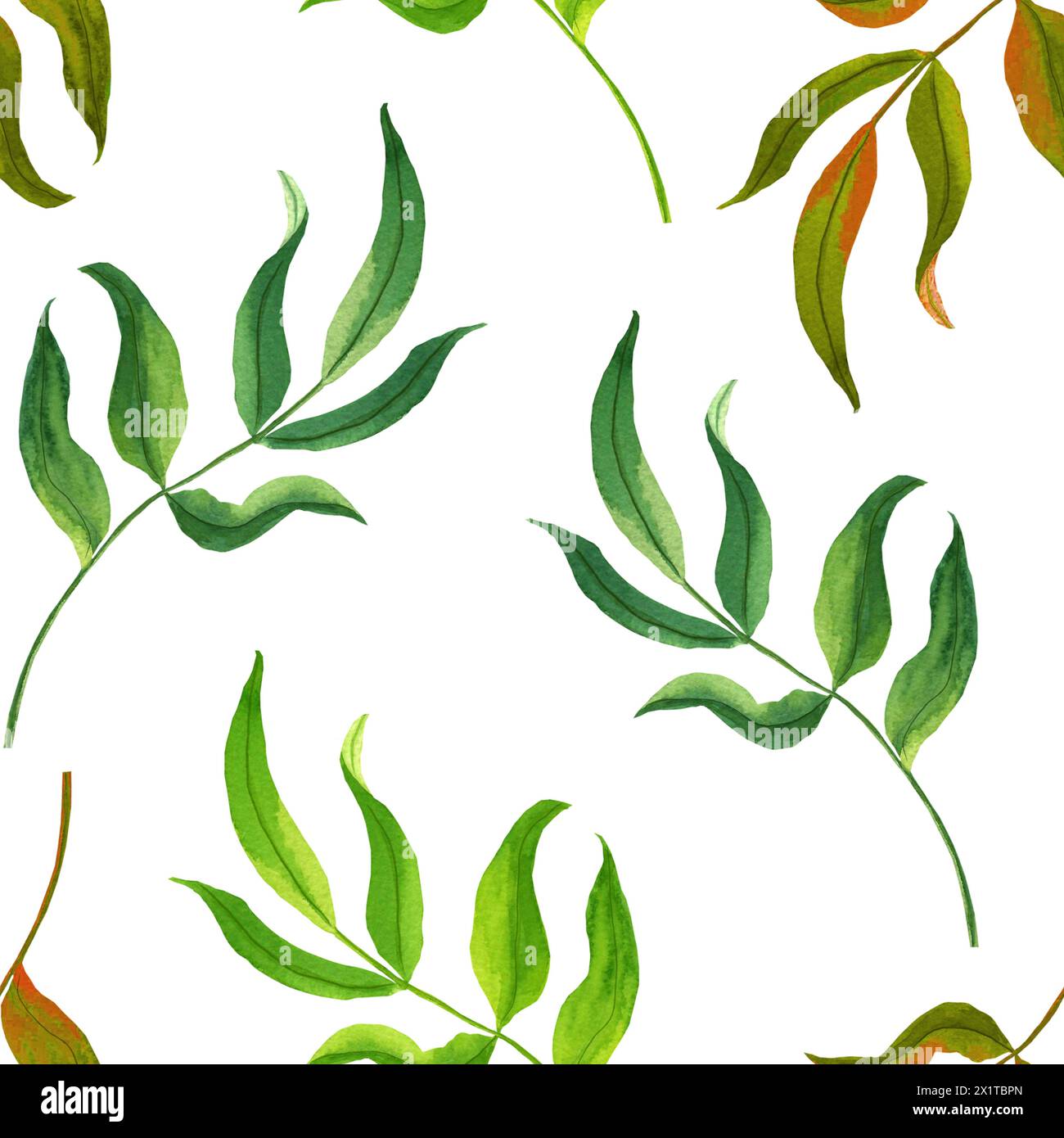 Watercolor seamless pattern with branches and leaves. Hand painted ...