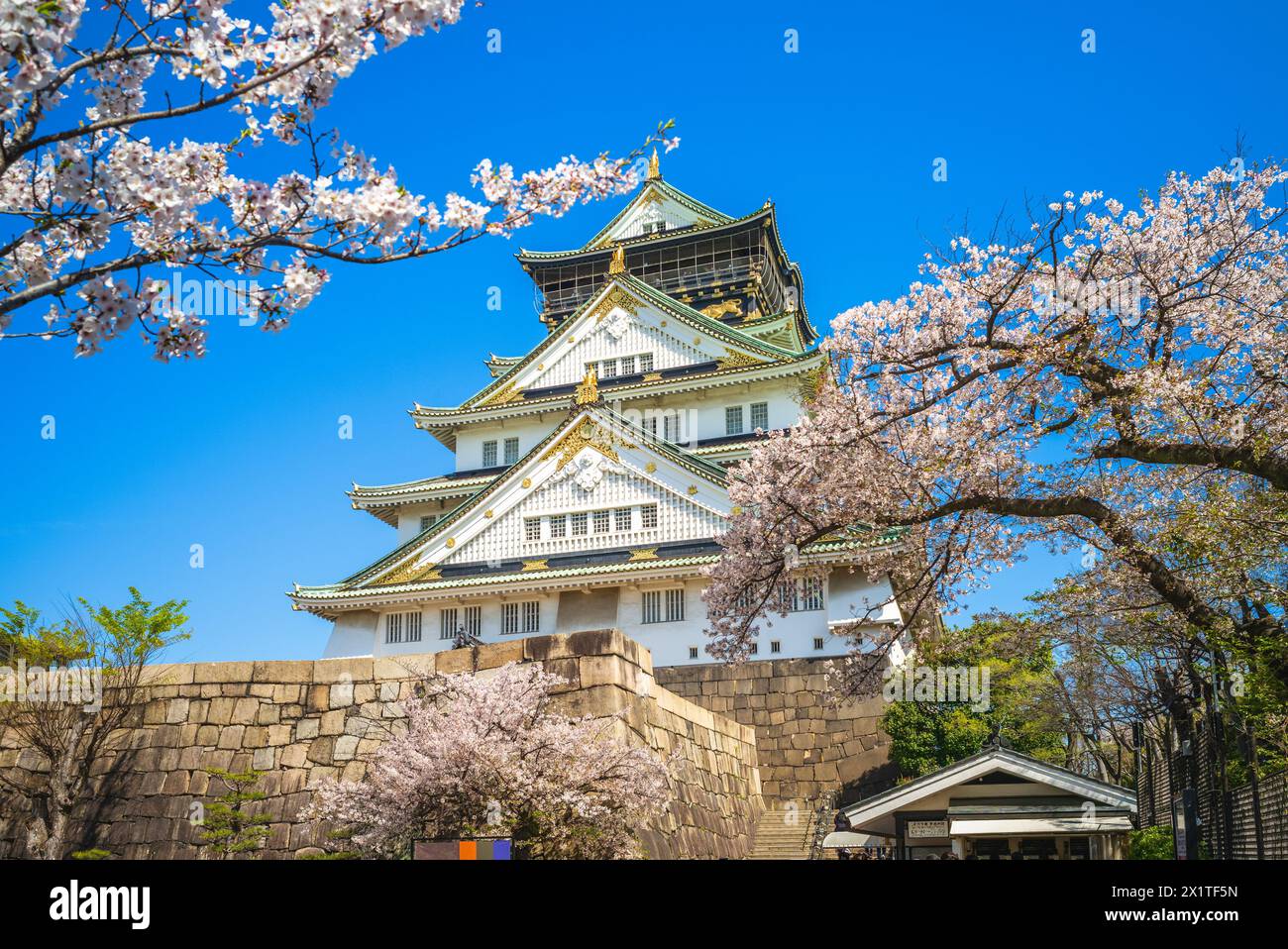 Tenshukaku tower of the Osaka Castle at osaka city in japan Stock Photo
