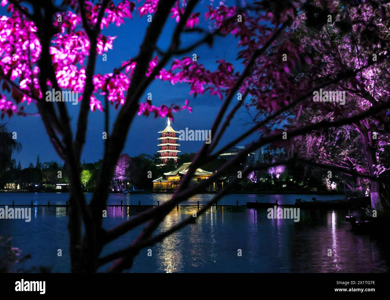 (240418) -- JIAXING(ZHEJIANG), April 18, 2024 (Xinhua) -- A tower is seen at night by the Nanhu Lake in Jiaxing City, east China's Zhejiang Province, April 10, 2024. Located in east China's Zhejiang Province, the waterside city Jiaxing is renowned for tourist destinations Nanhu Lake and Wuzhen. In the breezy month of April, the two tourist hotspots come alive with the gentle touch of spring. Nanhu Lake, with its shimmering waters and willow trees swaying along the lakeside, is a sight to behold. The historic water town Wuzhen also enchants with its emerald waters and whitewashed walls ador Stock Photo