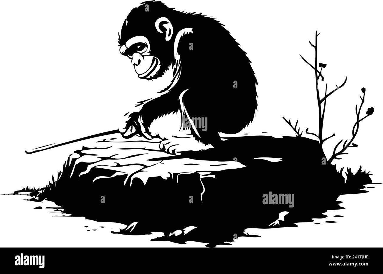 Monkey rock Cut Out Stock Images & Pictures - Alamy