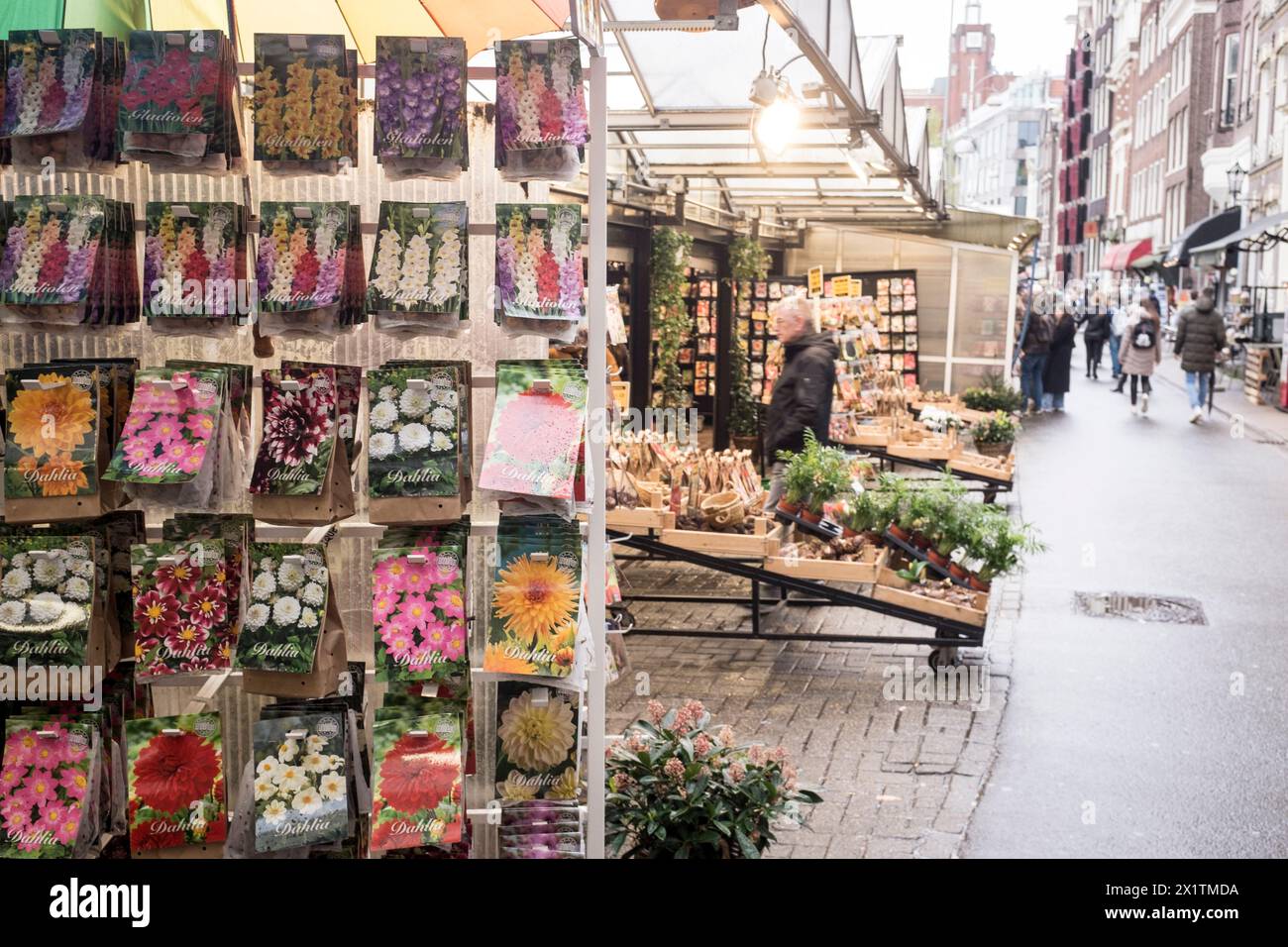 A view of the colorful, floating flower market, Bloemenmarkt, on the Singel in the center of Amsterdam, The Netherlands Stock Photo