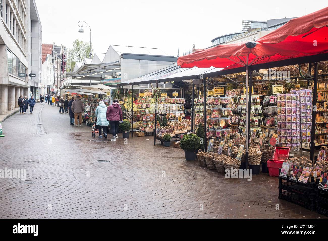 A view of the colorful, floating flower market, Bloemenmarkt, on the Singel in the center of Amsterdam, The Netherlands Stock Photo