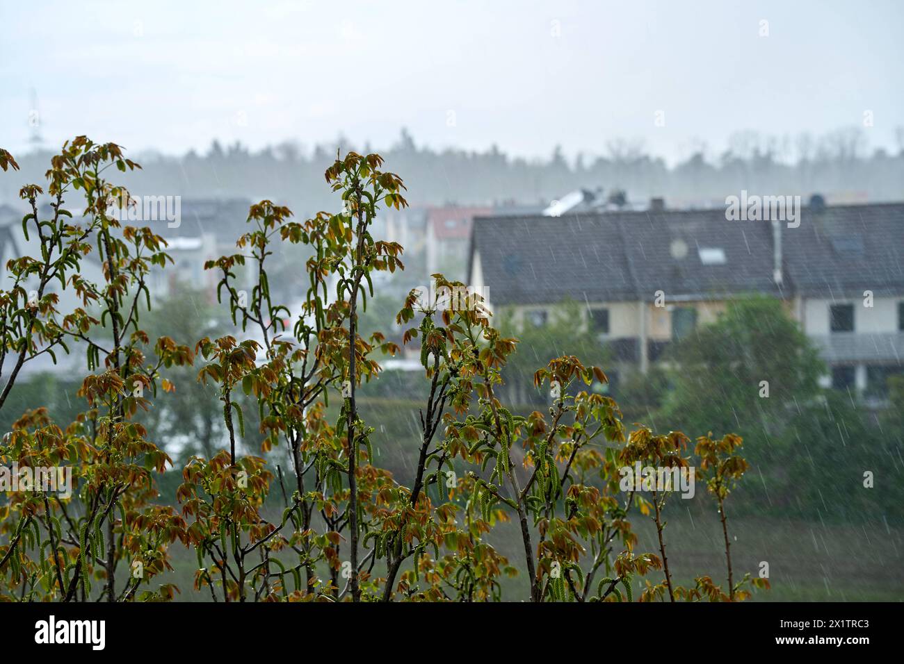 Langweid, Bavaria, Germany - April 15, 2024: Heavy rain in Bavaria. Severe weather *** Starker Regen in Bayern. Unwetter Stock Photo