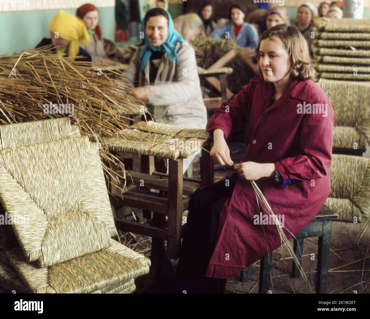 Socialist Republic of Romania in the 1970s. Workers in a state-owned workshop making woven seats for rush chairs using natural bulrush leaves that they twist manually. Stock Photo