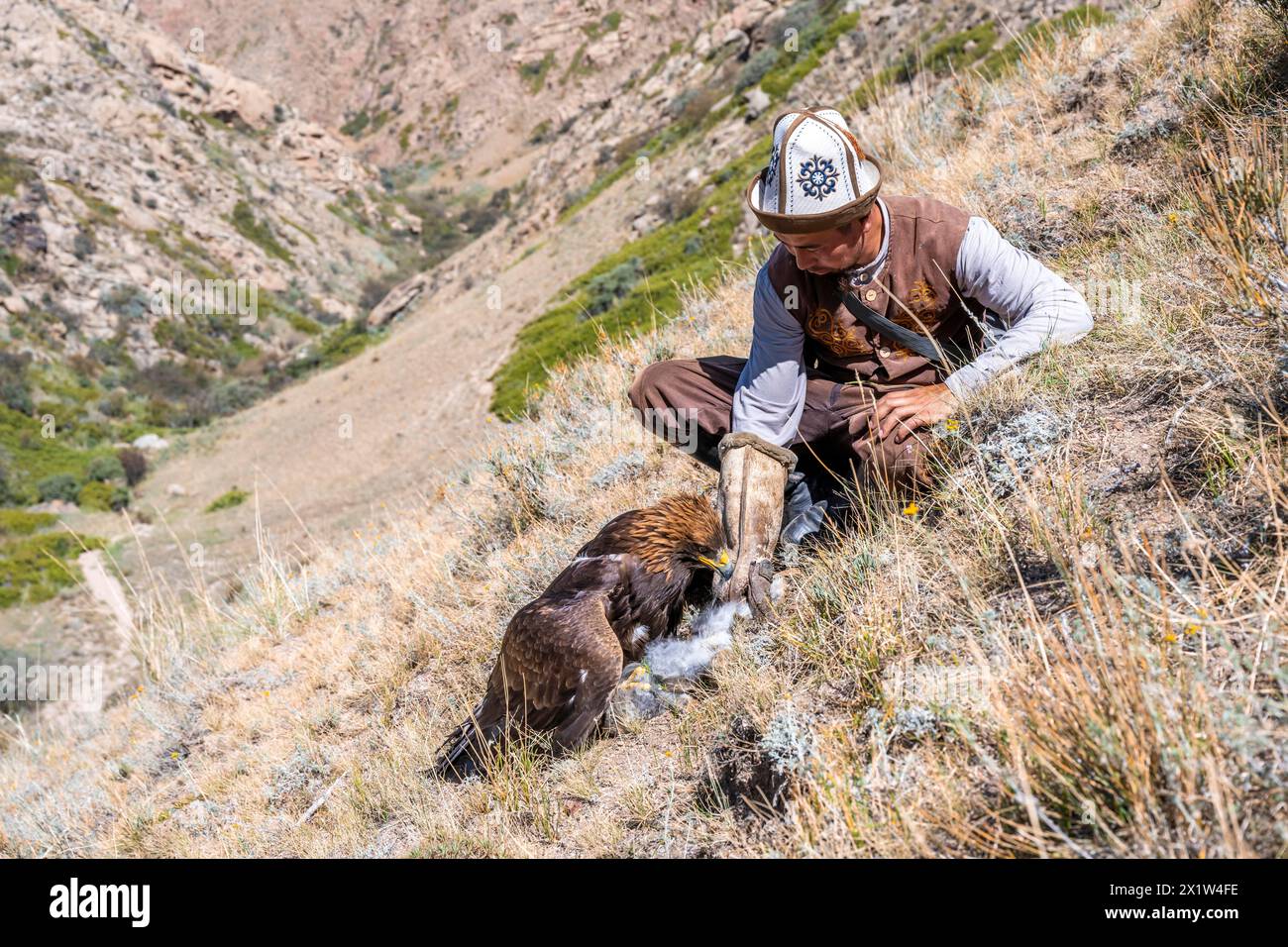 Eagle Hunt Rabbit Feed rabbit asian hi-res stock photography and images - Alamy