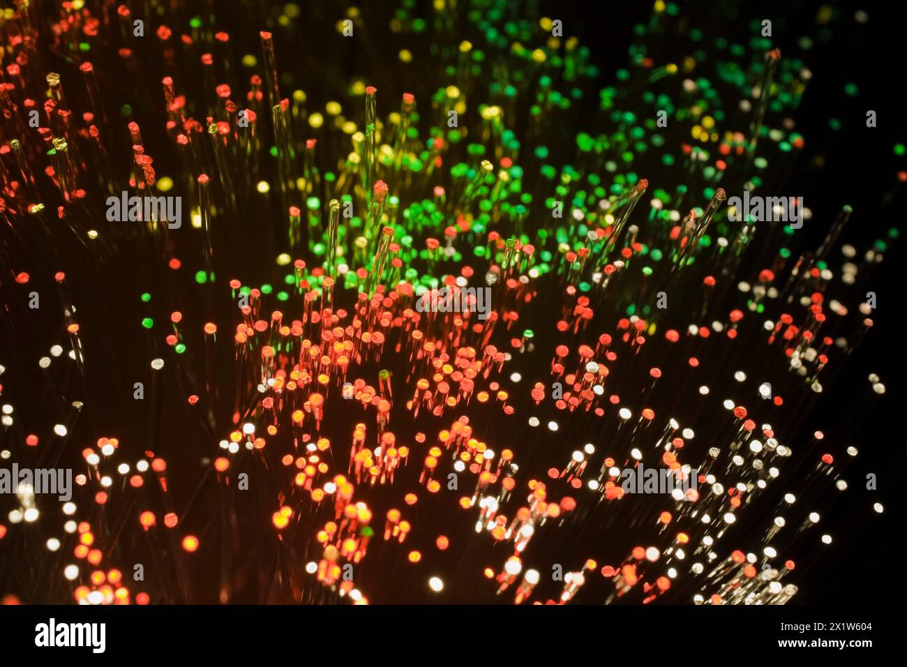 Close-up of red, green and white lighted fibre optic cables, Studio Composition, Quebec, Canada Stock Photo