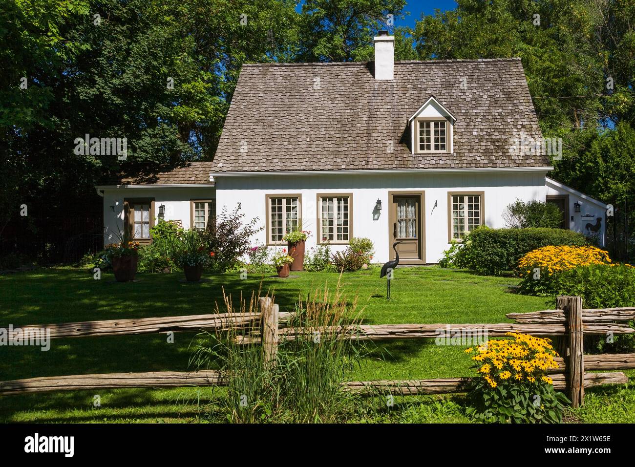 Old circa 1886 white with beige and brown trim Canadiana cottage style home facade with landscaped front yard that includes yellow Rudbeckia fulgida Stock Photo