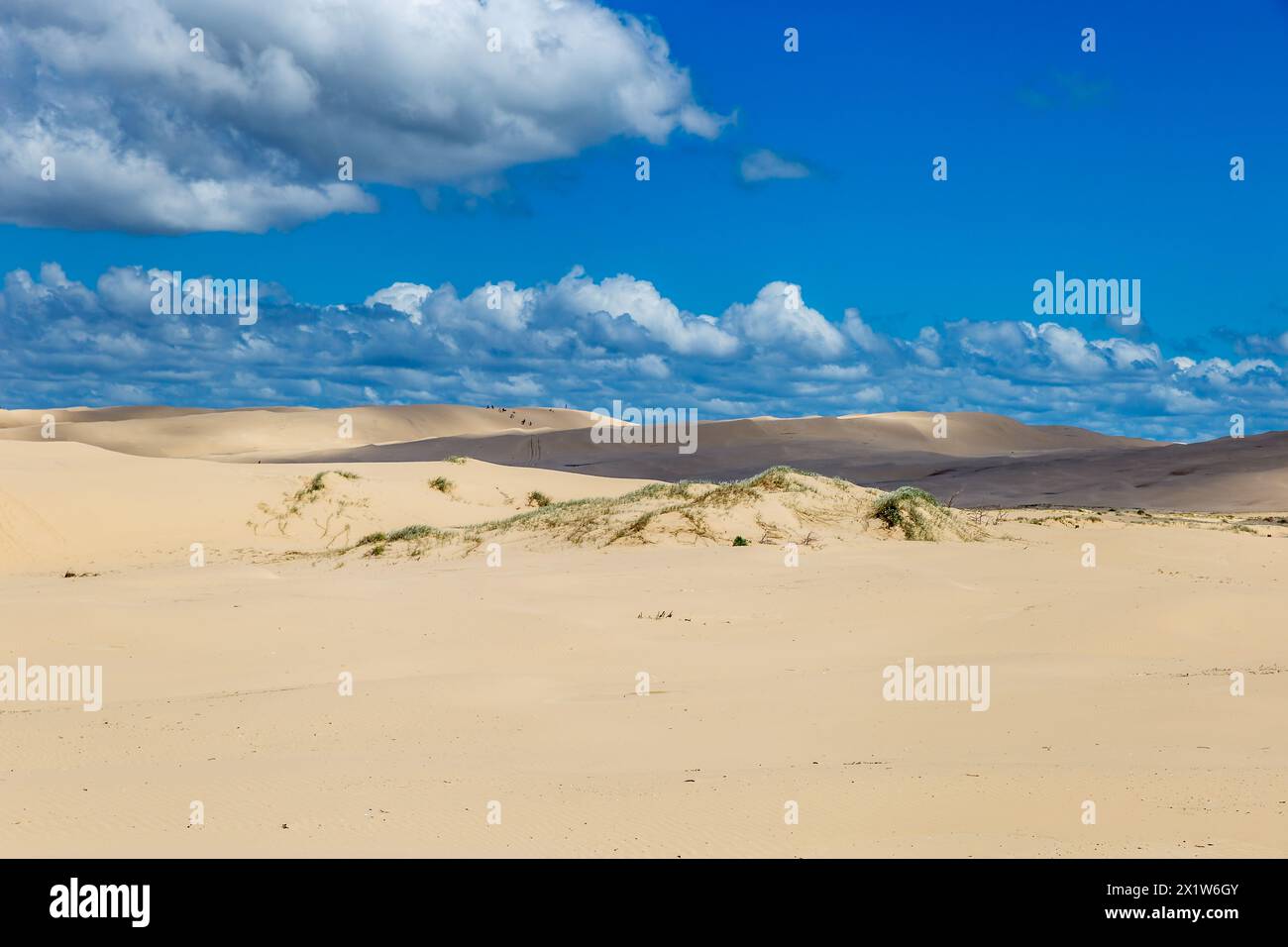Sand Dunes at Stockton Beach with Sandboarding People in the Distance, New South Wales, Australia. Stock Photo