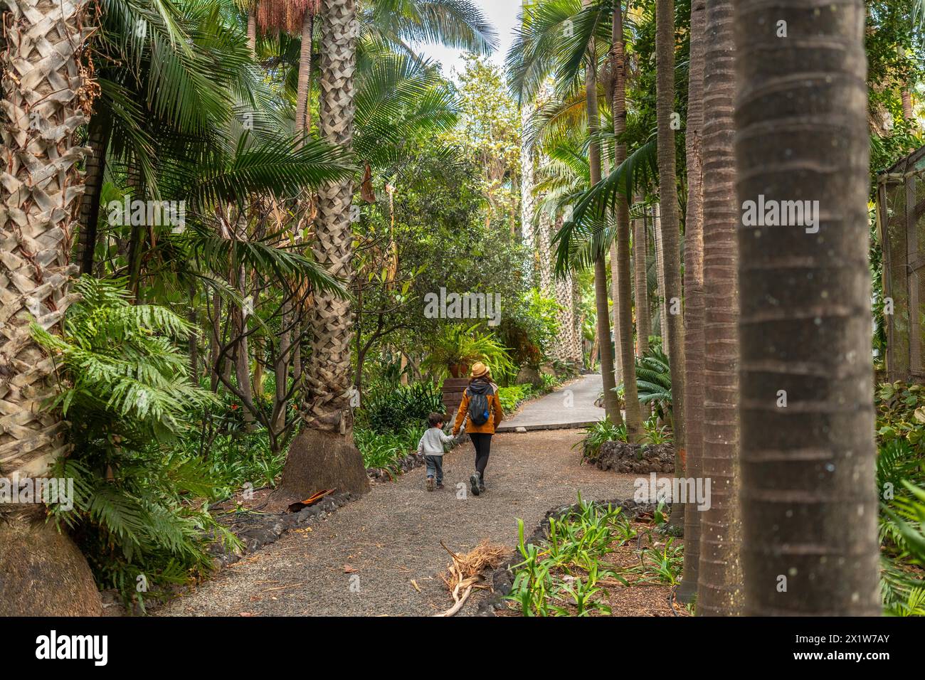 A mother and child enjoying and walking in a tropical botanical garden. family on vacation Stock Photo
