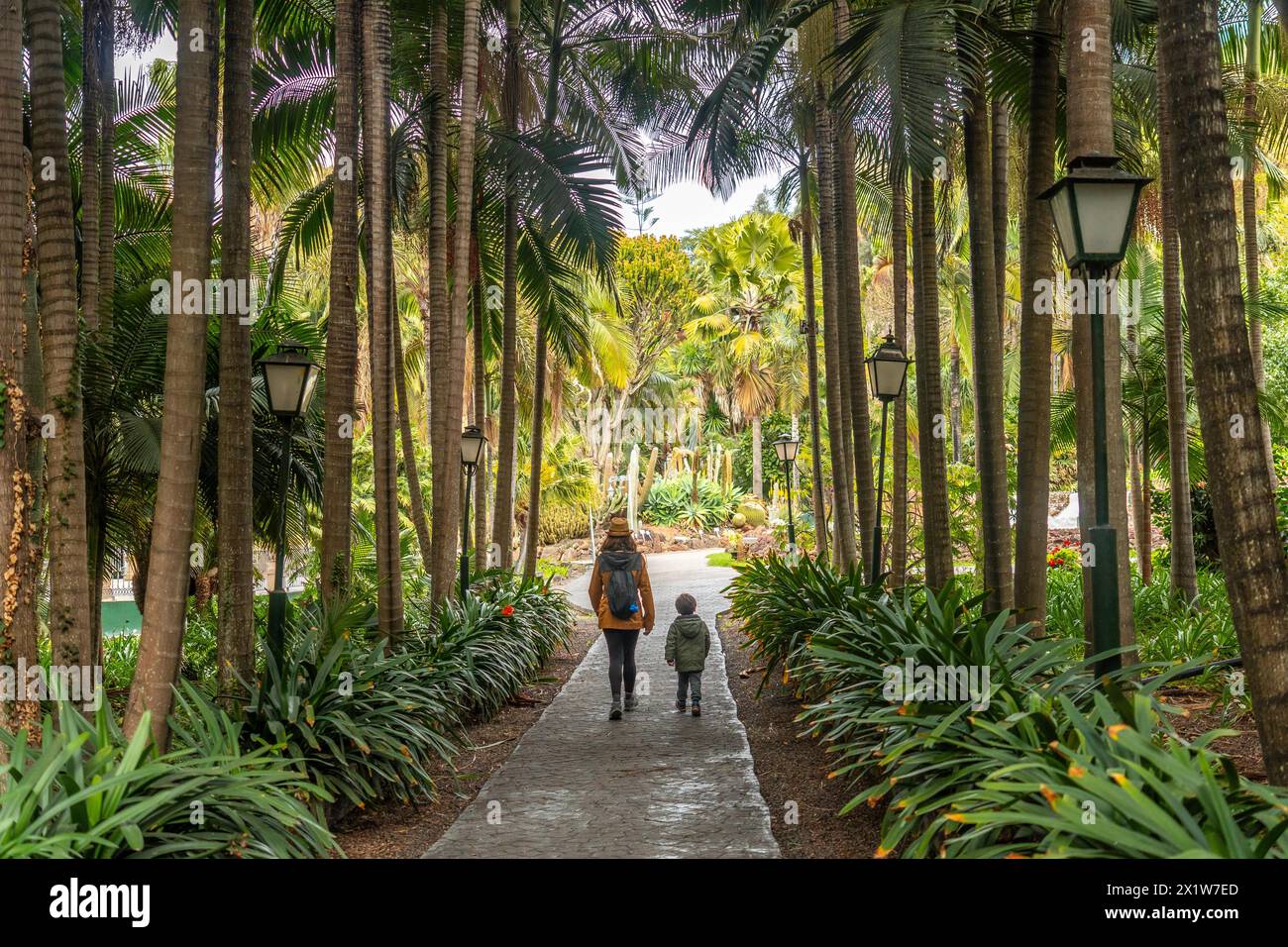 A mother with her son walking in a tropical botanical garden with many palm trees, family vacation concept in a beautiful landscape in spring Stock Photo