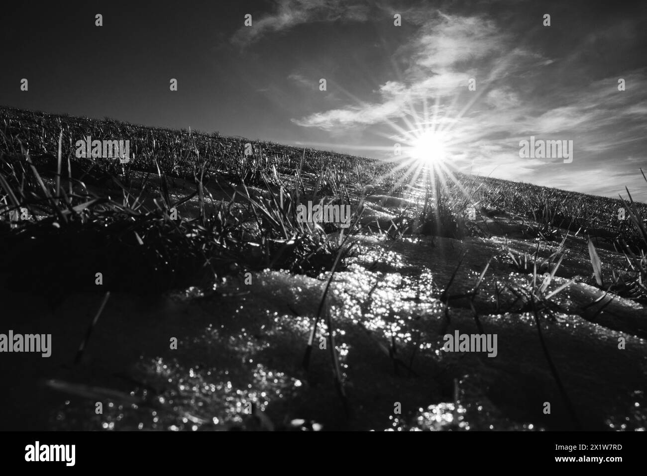Spring last! Black and White Stock Photos & Images - Alamy
