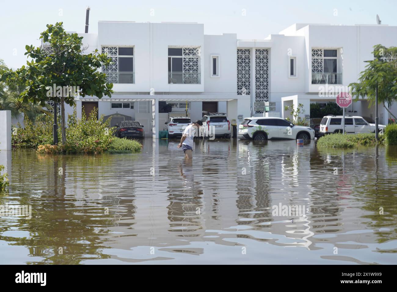A man walks through floodwater in the Mudon neighborhood in Dubai, United  Arab Emirates, Thursday, April 18, 2024. The United Arab Emirates attempted  to dry out Thursday from the heaviest rain the