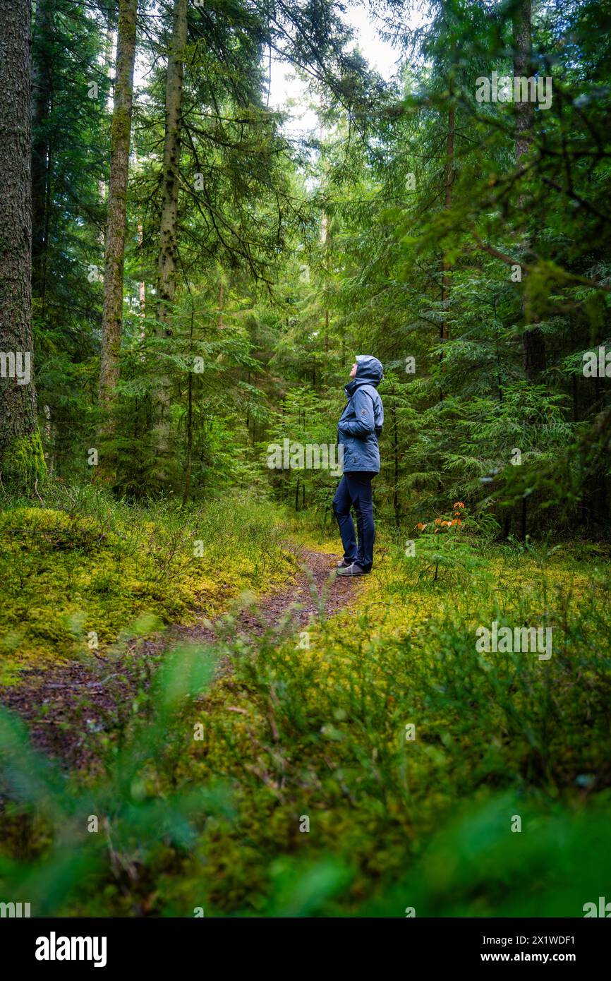 A person walks alone on a green forest path and enjoys the silence of the forest, Calw, Black Forest, Germany Stock Photo