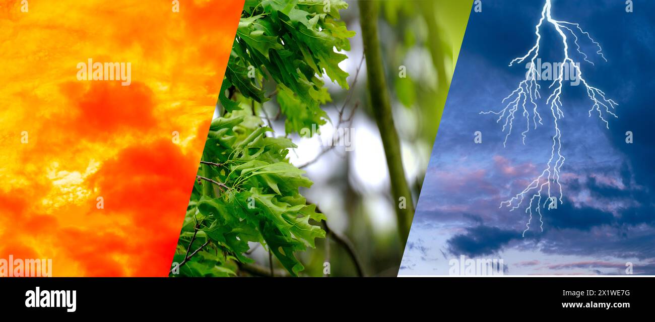 beautiful picturesque lcolorful collage landscape backgrounds ...