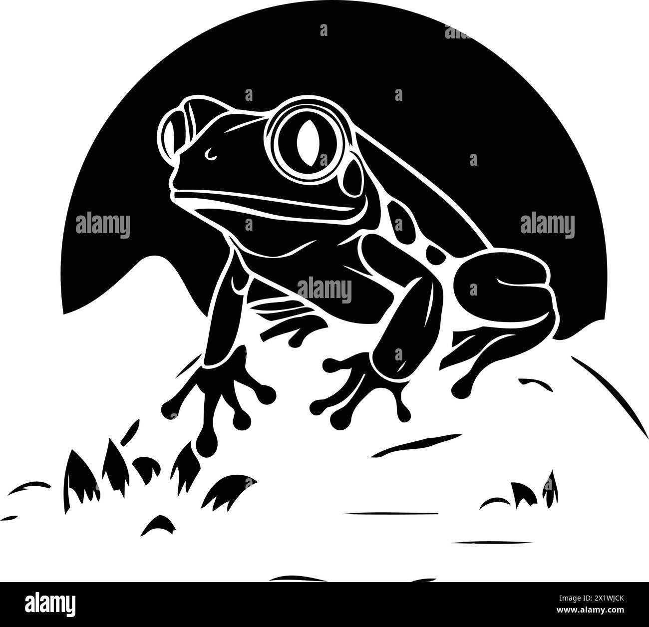 Frog in the sun. Vector illustration on a dark background. Stock Vector