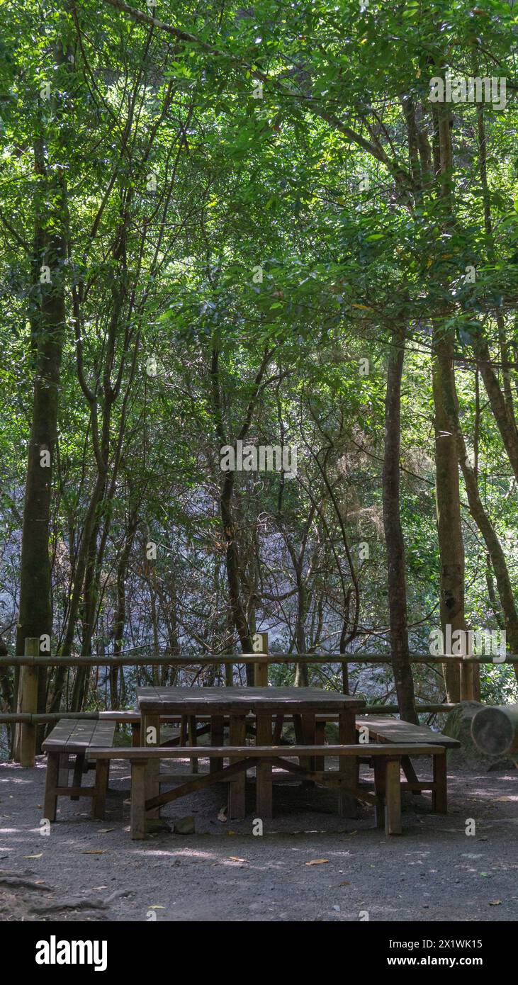 Escape to this serene woodland oasis for a peaceful day outing Stock Photo