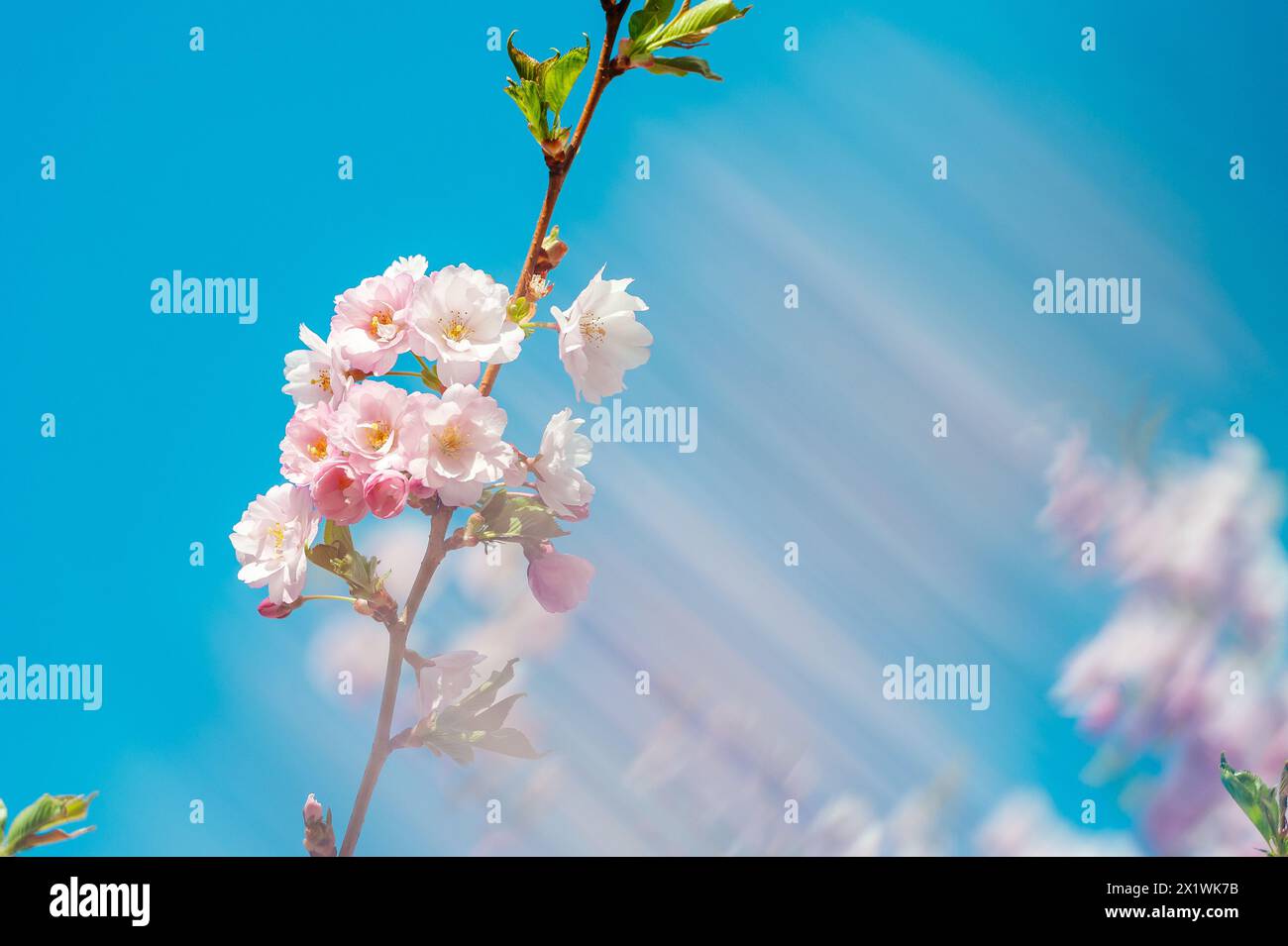 Bokeh rays motion hi-res stock photography and images - Alamy