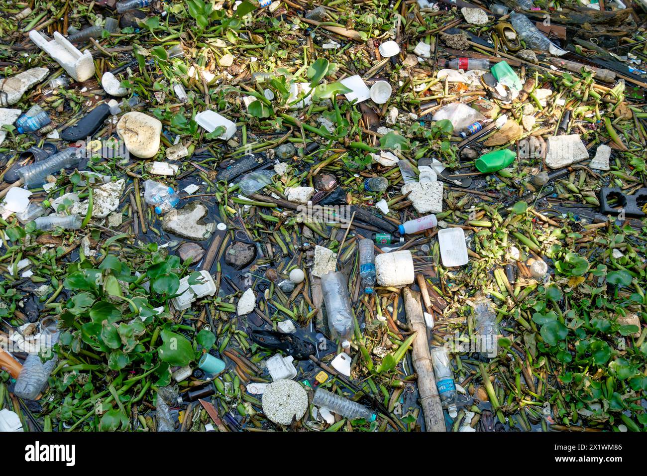 Heavily polluted local waterway near Chao Phraya River in Bangkok ...