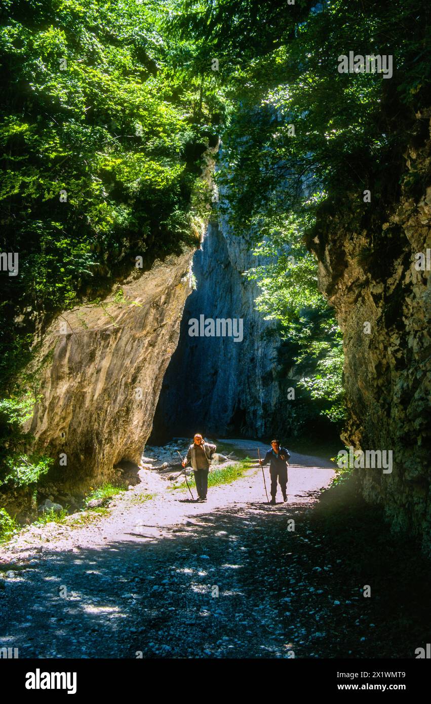 Hikers in the nature,  Carpathian Mountains Romania Stock Photo