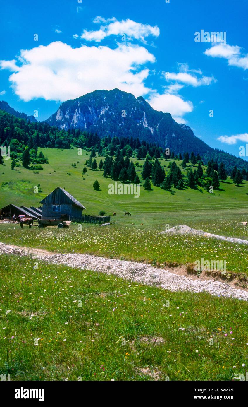Village in Transylvanian Carpathian mountains Stock Photo